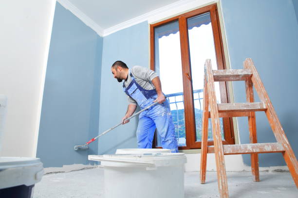 Reliable Luna Pier, MI Mold Removal Solutions