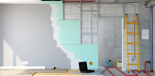 Best Commercial Mold Inspection  in Luna Pier, MI