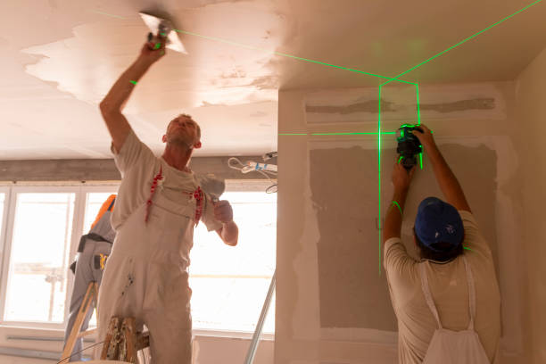  Luna Pier, MI Mold Removal Pros