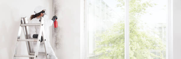 Best Environmental Consulting for Mold Prevention  in Luna Pier, MI