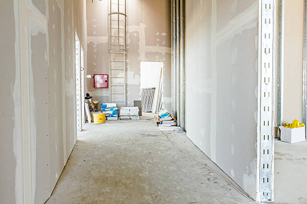 Best Industrial Mold Remediation  in Luna Pier, MI