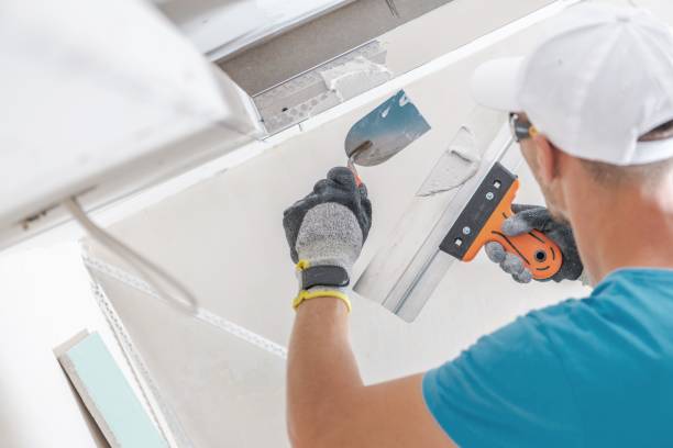 Best Water Damage & Mold Remediation  in Luna Pier, MI